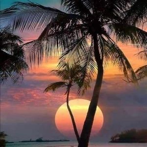 Meet your Posher, Regina